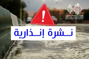 نشرة إنذارية ..زخات رعدية مرتقبة اليوم الأربعاء وغدا الخميس بعدد من مناطق المملكة